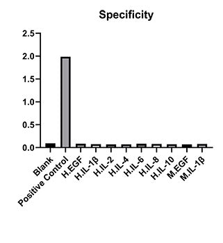 Rabbit anti-Human TNFR1 mAb