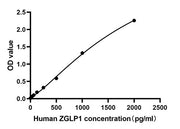 Rabbit anti-Human Zinc Finger GATA mAb (CAP)