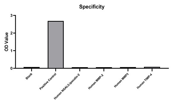 Rabbit anti-Human MMP-9   mAb (DET)