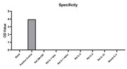 Rabbit anti-Rat IL-4 mAb