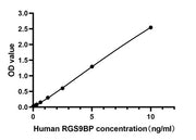 Rabbit anti-Human RGS9BP mAb (DET)
