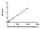 Rabbit anti-Sheep TNF-alpha mAb(DET)