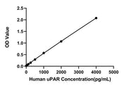 Rabbit anti-Human uPAR mAb