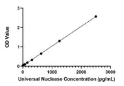 Rabbit anti-Universal Nuclease mAb(CAP)