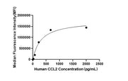 Rabbit anti-Human CCL2/MCP-1 mAb