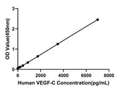 Rabbit anti-Human VEGFC mAb