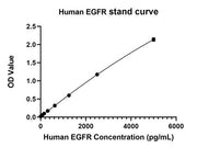 Rabbit anti-Human EGFR mAb(DET)