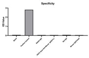 Rabbit anti-Human IgG(Total) mAb(CAP)