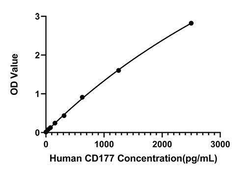Rabbit anti-Human CD177 mAb
