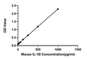 Rabbit anti-Mouse IL-1 beta mAb