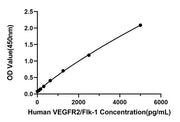 Rabbit anti-Human VEGFR2/Flk-1 mAb