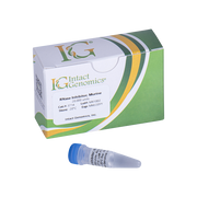 RNase Inhibitor, Murine