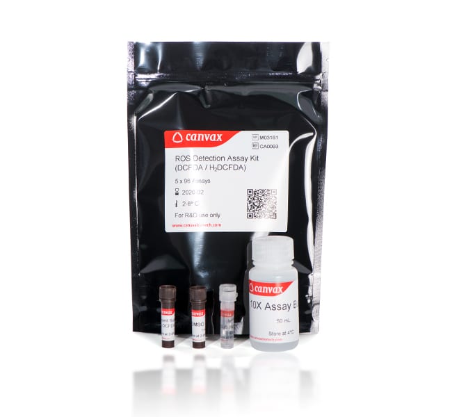 ROS Detection Assay Kit (DCFDA / H2DCFDA)