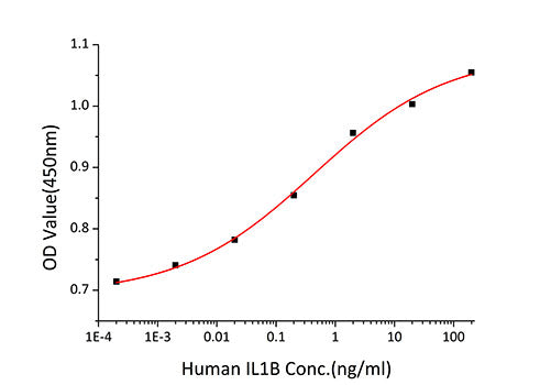 Recombinant Human IL-1 beta Protein