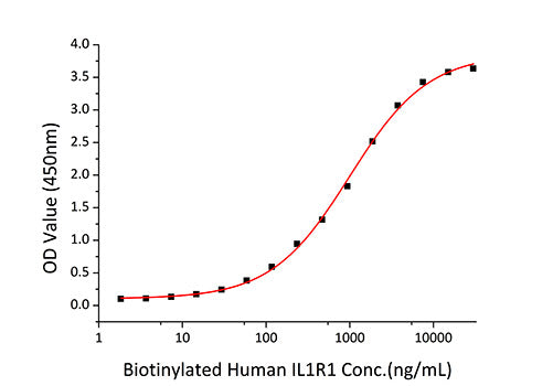 Recombinant Human IL-1 beta Protein