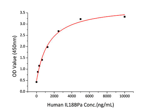 Recombinant Human IL-18 Protein