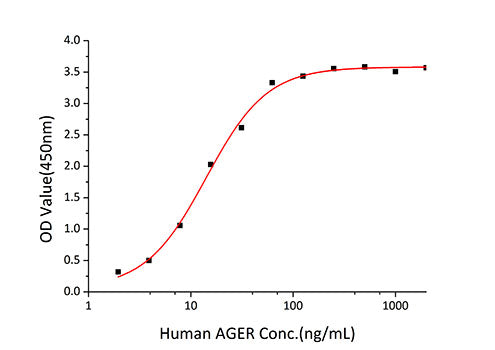Recombinant Human S100-A12 Protein