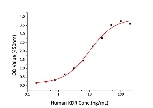 Recombinant Human VEGF-A/VEGF121(K321N) Protein