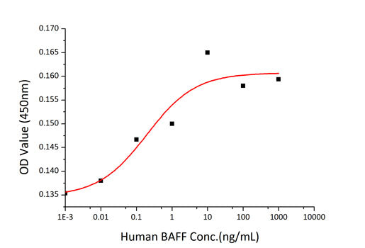 Recombinant Human TNFSF13B/BAFF/CD257 Protein