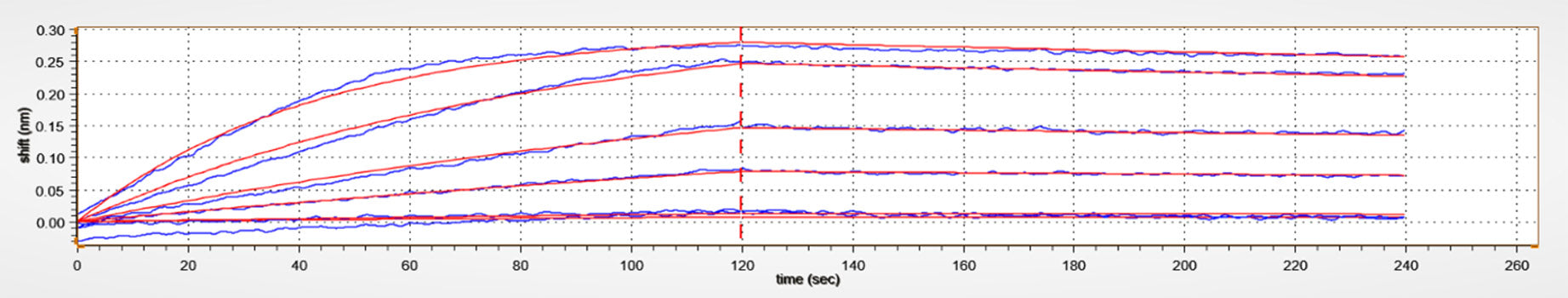 Recombinant Human TNFSF13B/BAFF/CD257 Protein