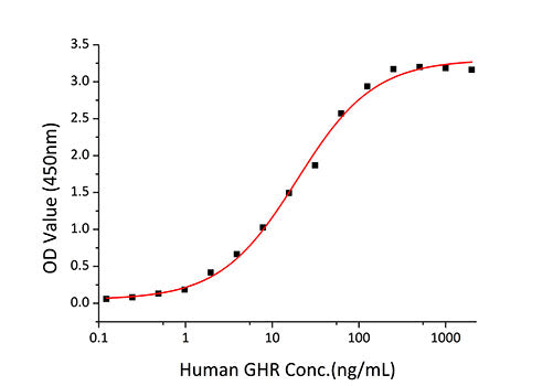Recombinant Human Somatotropin/GH-N/GH1 Protein