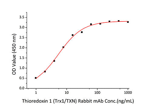 Recombinant Human Thioredoxin/SASP/TXN Protein