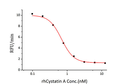 Recombinant Human Cystatin-A/CSTA Protein