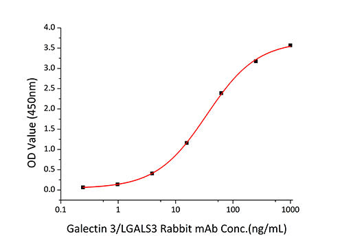 Recombinant Human Galectin-3/LGALS3 Protein