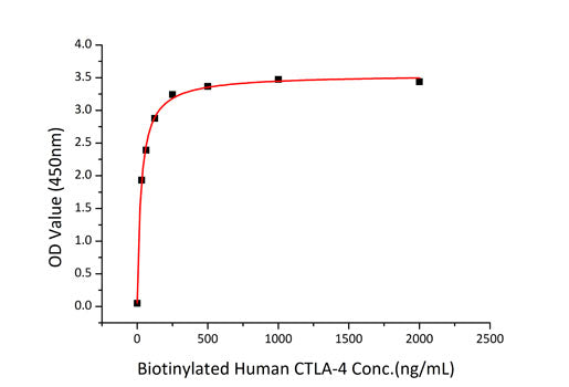 Recombinant Human B7-1/CD80 Protein