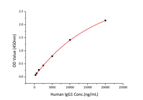Recombinant Human Fc-gamma RIII alpha/FCGR3A/CD16a Protein