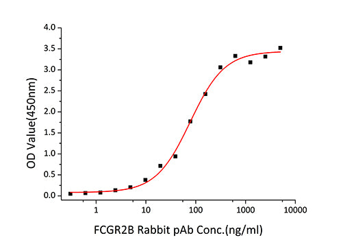 Recombinant Human Fc gamma RIIB/FCGR2B/CD32b Protein