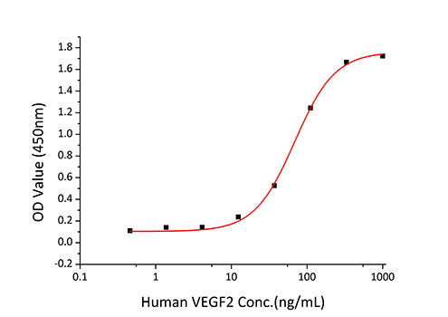 Recombinant Human VEGFR-2/KDR/CD309 Protein