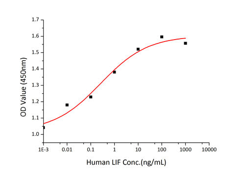 Recombinant Human Leukemia inhibitory factor/LIF Protein