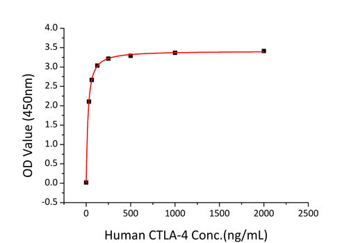 Recombinant Human B7-2/CD86 Protein