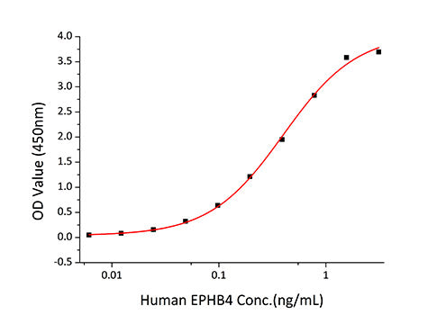 Recombinant Human Ephrin-B2/EFNB2 Protein