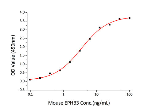 Recombinant Human Ephrin-B1/EFNB1 Protein