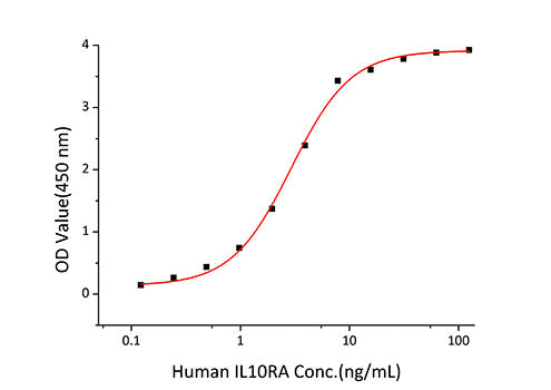 Recombinant Human IL-10 Protein
