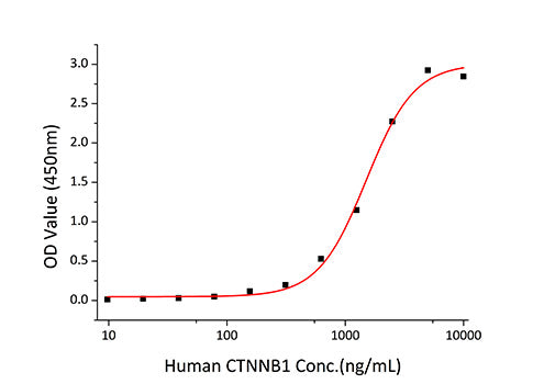 Recombinant Human PECAM-1/CD31 Protein