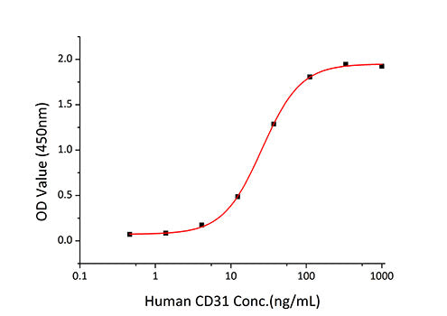 Recombinant Human PECAM-1/CD31 Protein