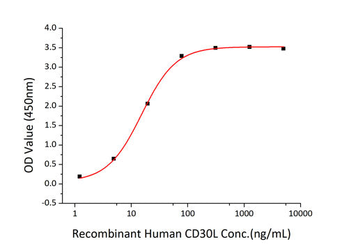 Recombinant Human TNFRSF8/CD30 Protein