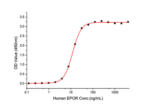 Recombinant Human Erythropoietin R/EPO-R Protein