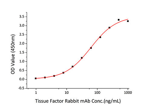 Recombinant Human Coagulation factor III/Tissue factor/CD142 Protein