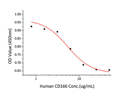 Recombinant Human ALCAM/CD166 Protein