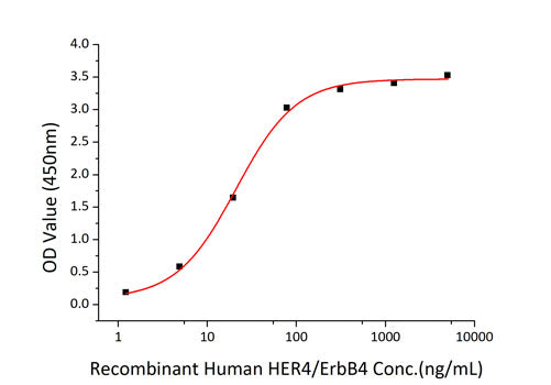 Recombinant Human ErbB-4/HER4 Protein