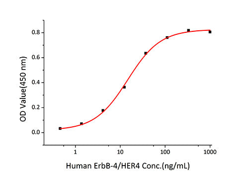 Recombinant Human ErbB-4/HER4 Protein