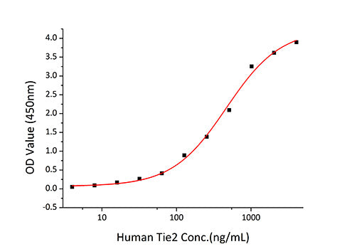 Recombinant Human TIE2/TEK/CD202b Protein