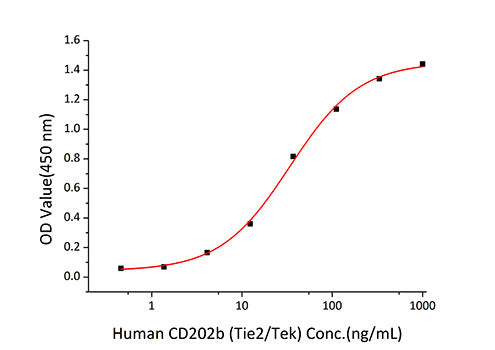 Recombinant Human TIE2/TEK/CD202b Protein