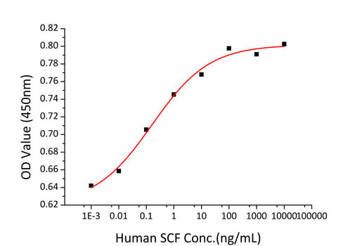 Recombinant Human c-Kit ligand/KITLG/SCF Protein