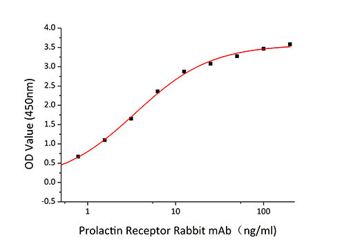 Recombinant Human Prolactin receptor/PRL-R Protein