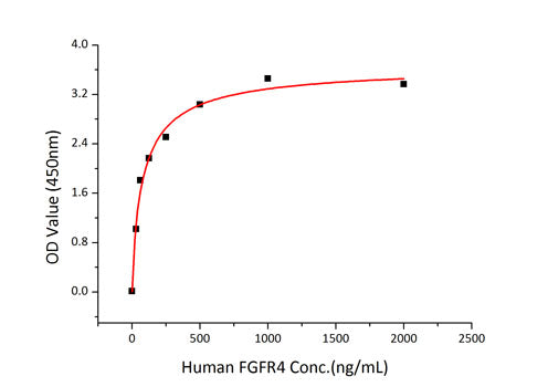 Recombinant Human FGFR-4/CD334 Protein